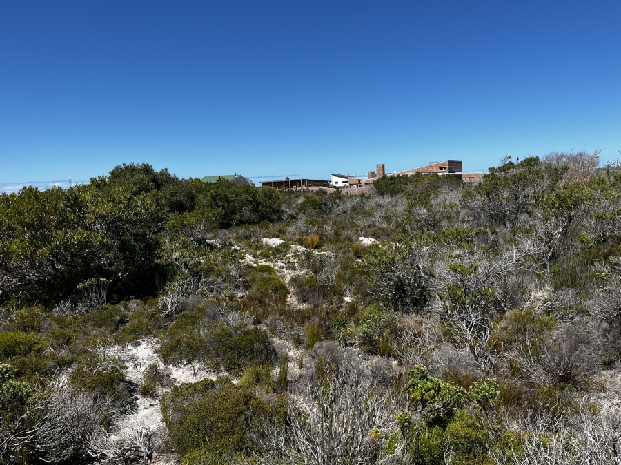 0 Bedroom Property for Sale in Bettys Bay Western Cape